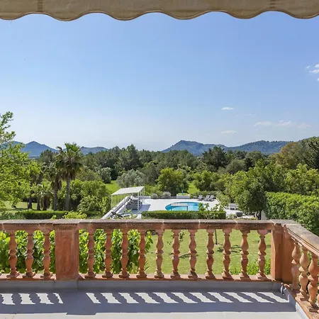 Napolitano * Pollensa